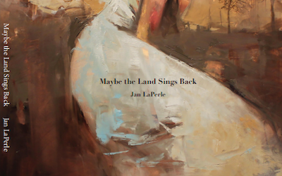 The Wars We Fight at Home: Jan LaPerle’s Maybe the Land Sings Back