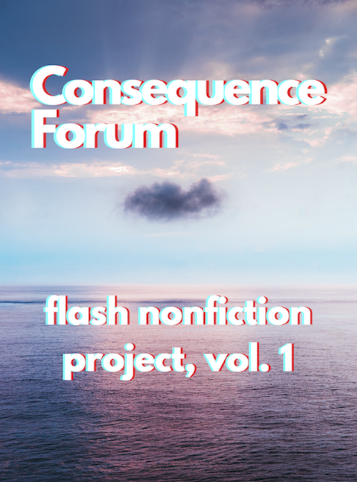 Flash Nonfiction Project